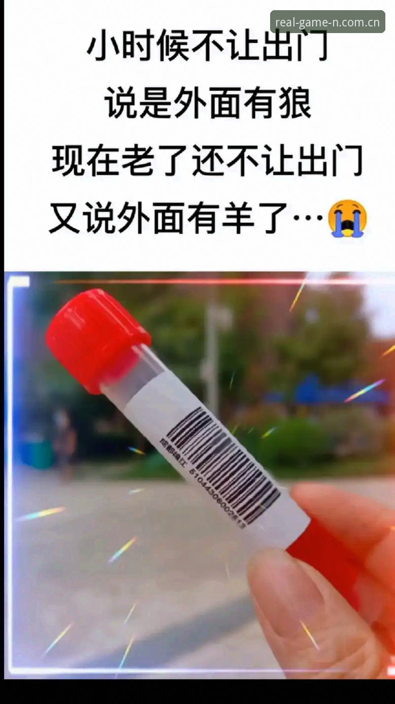 N体育平台更新日志评测：v2.1.0的坑与捷径，一个老用户说了大实话